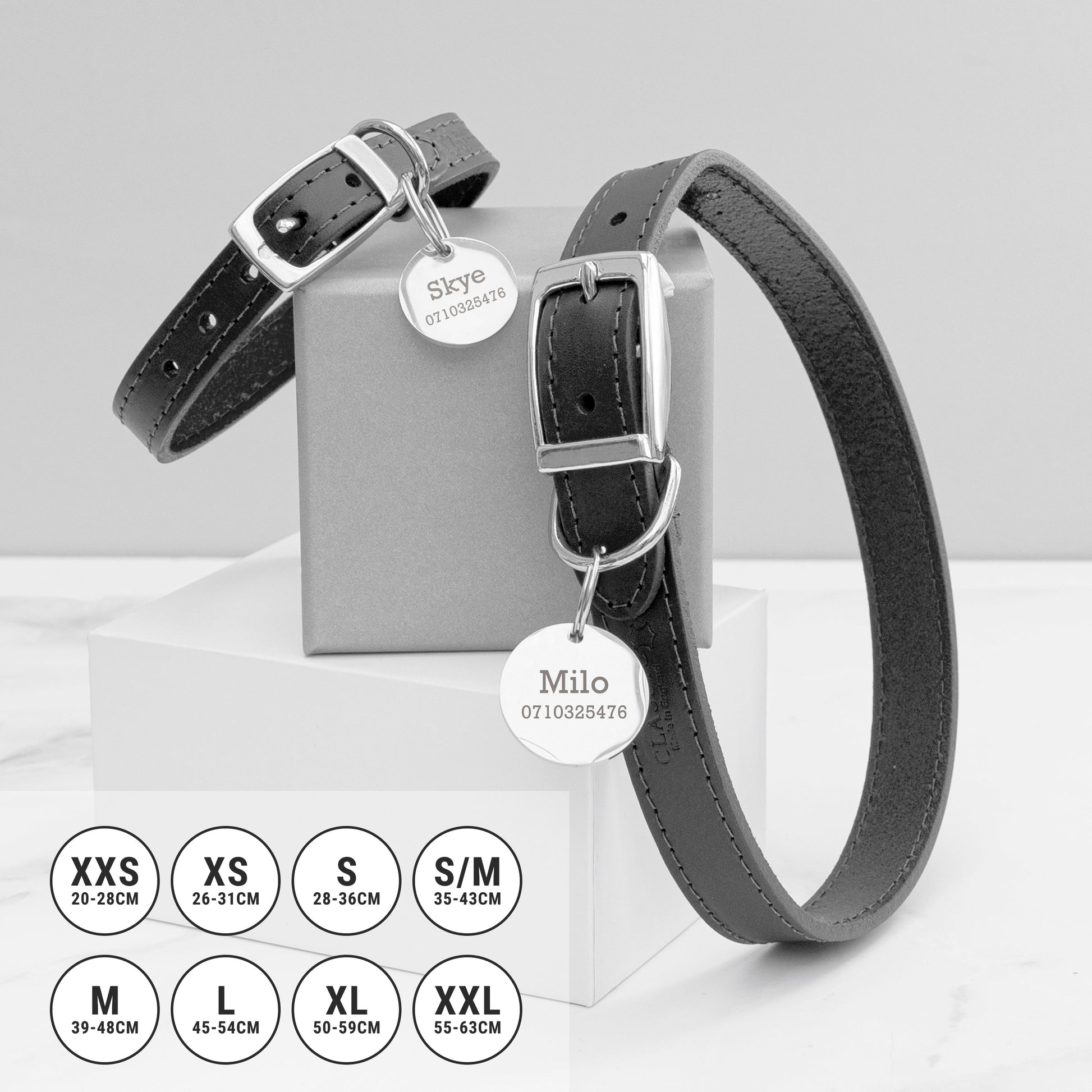 Two black leather dog collars with engraved tags on a gray background