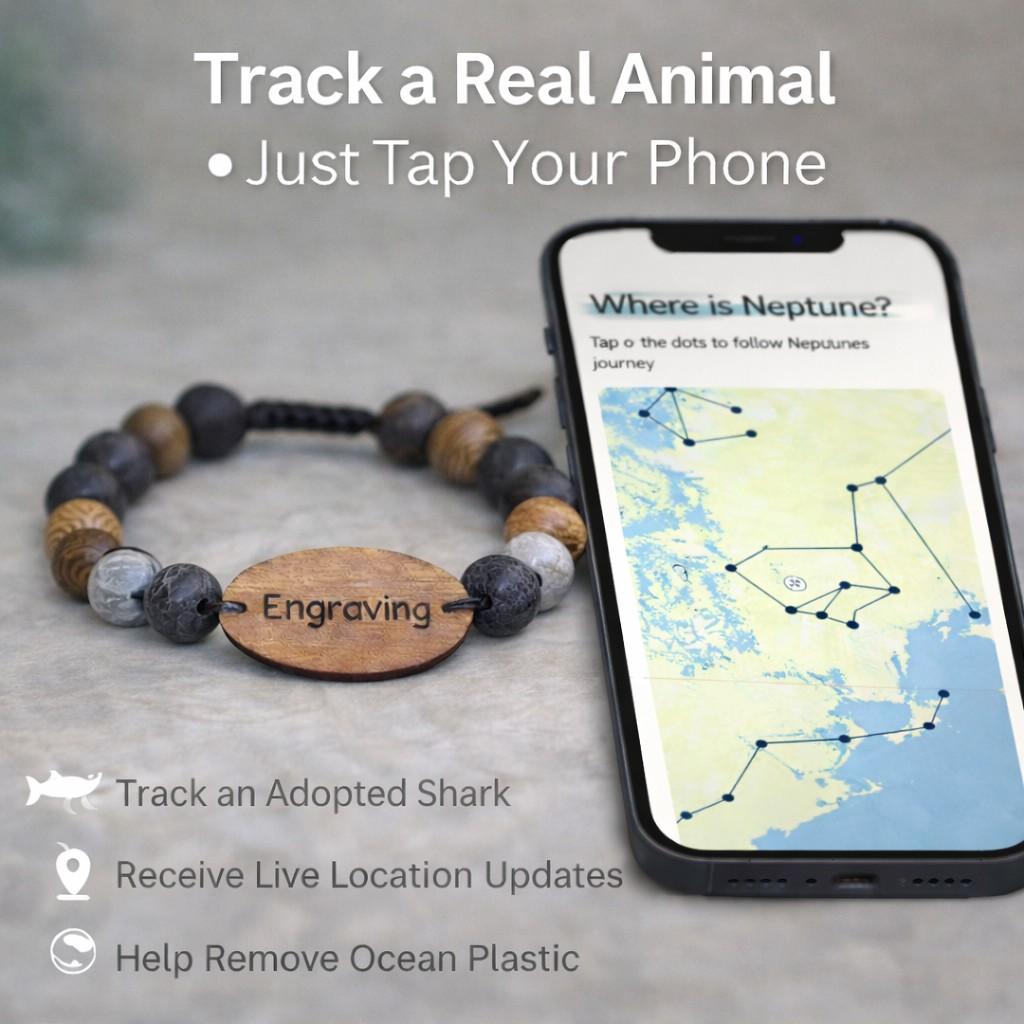 Personalized Shark Tracking Bracelet  Animal Tracking Bracelets Deeply Engraved