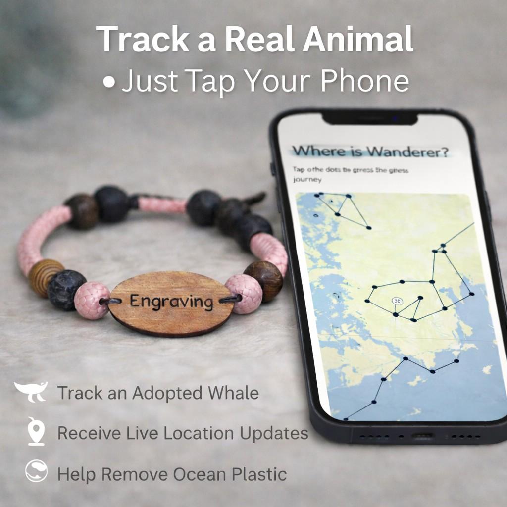 Personalized Whale Tracking & Conservation Bracelet  Animal Tracking Bracelets Deeply Engraved