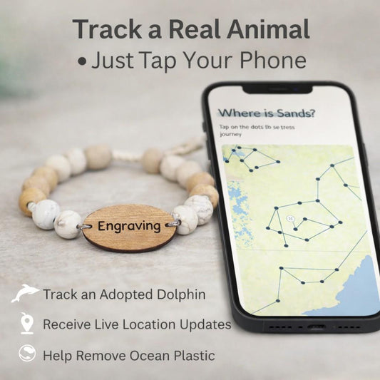 Track a Real Dolphin: The Wave Tracking Bracelet  Animal Tracking Bracelets Deeply Engraved